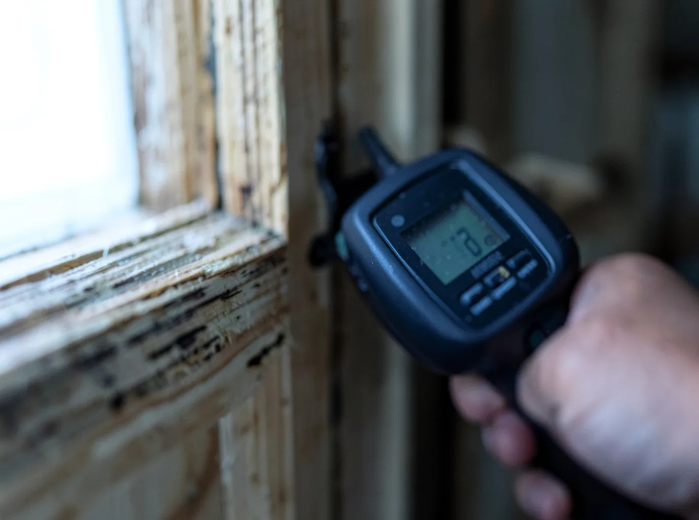 Moisture Inspection And Documentation in Melvin, MI